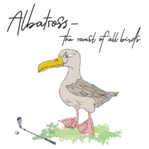 Albatross - Soft Shell Jacket   Design